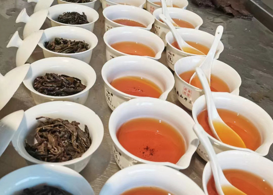 Sıcak veya Soğuk Çiçek Aromalı Oolong Çayı