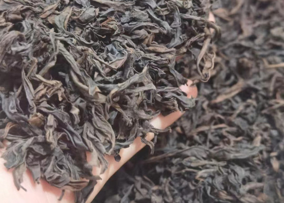 Oolong Çayı Yağlı Çiçek Aromasını Bozar