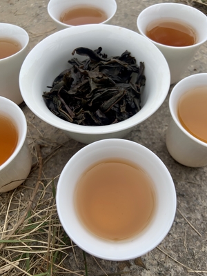 100°C'lik Biralama Sıcağı, Yaşlanmış Pu Erh Çayının Meyveli Özünü Açıklıyor