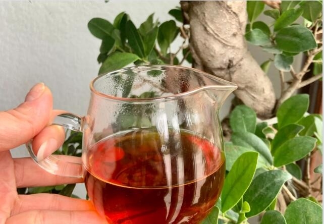 Tylin, Fujian Tarım Bilimleri Akademisi Çay Araştırma Enstitüsü'nden tiegua ile çapraz olarak geliştirildi.